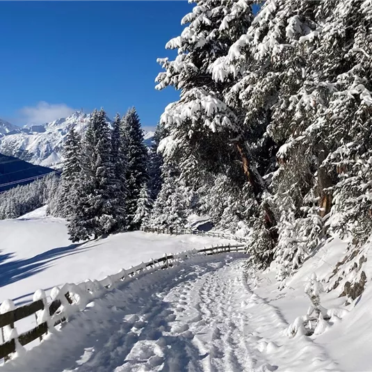 Winterwandern am Gachenblick