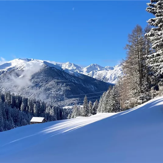 Winterwandern am Gachenblick