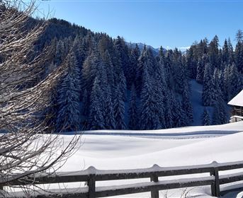 Winterwandern am Gachenblick