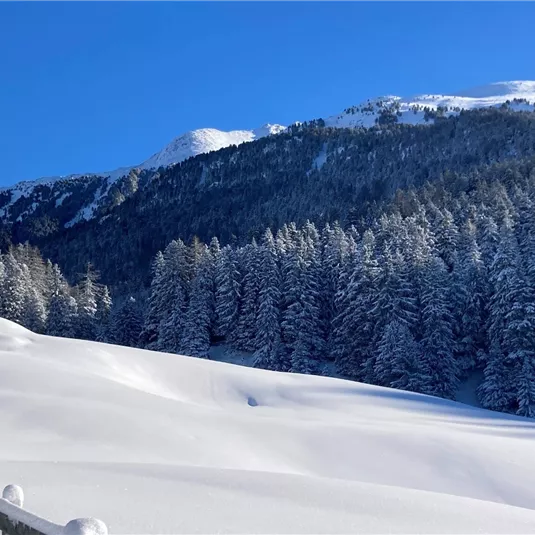 Winterwandern am Gachenblick