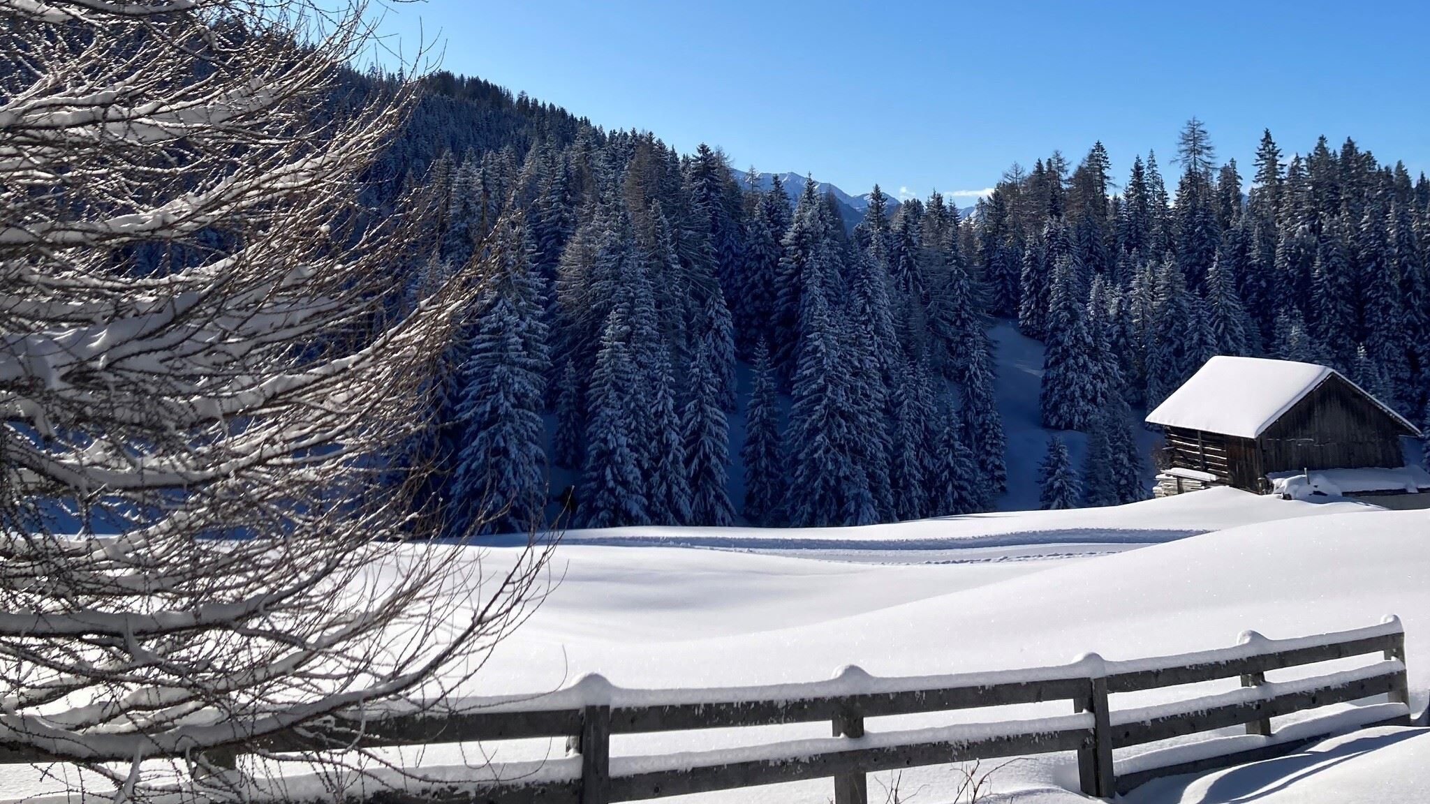 Winterwandern am Gachenblick