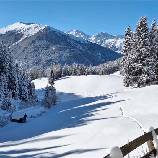 Winterwandern am Gachenblick