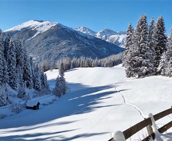 Winterwandern am Gachenblick