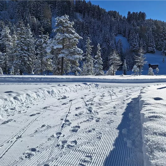 Winterwandern am Gachenblick