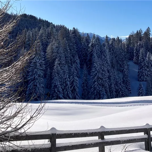 Winterwandern am Gachenblick