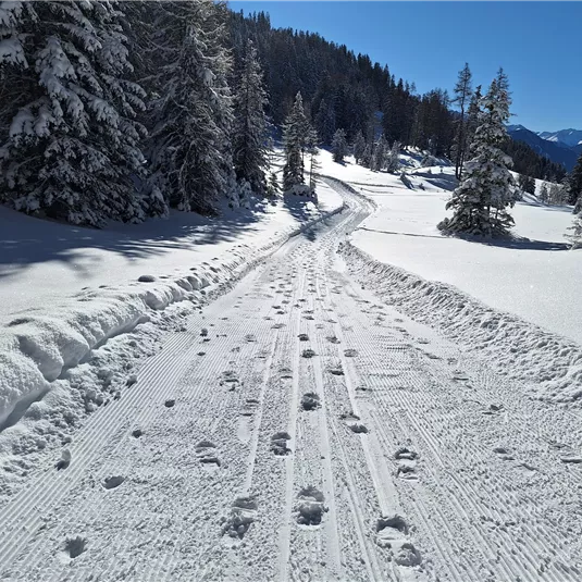 Winterwandern am Gachenblick