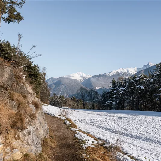 Winterwandern Arzl