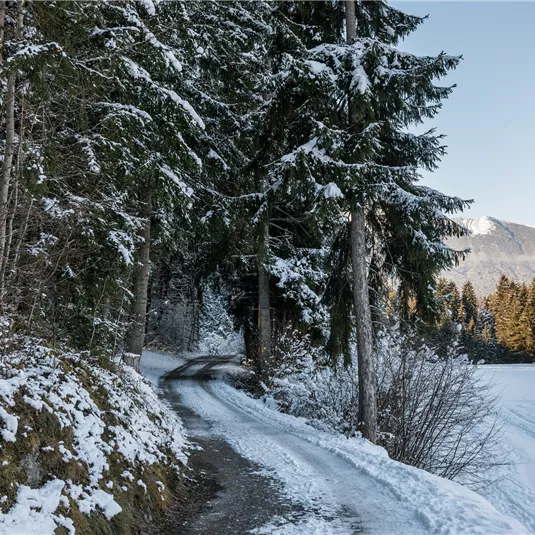 Winterwandern Arzl