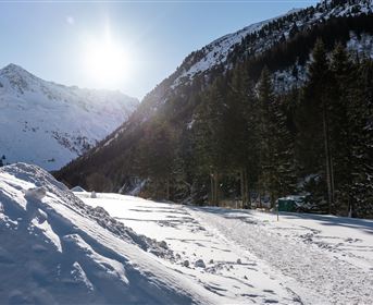 Winterwandern Tieflehn