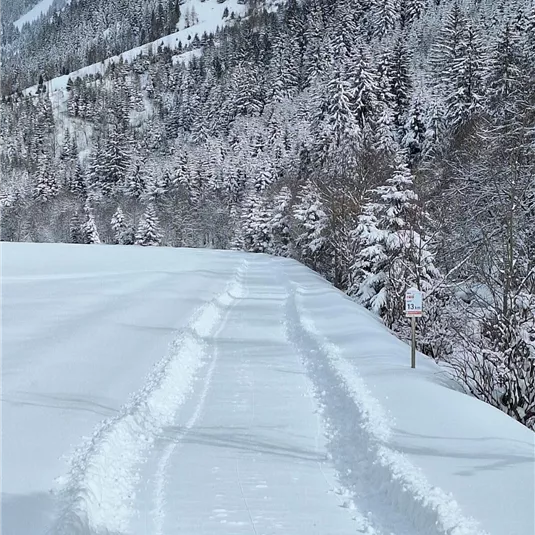 winter hiking trail Neurur