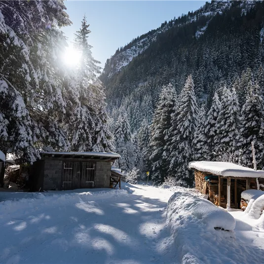 Winterwanderweg-Scheibe-Piösmes-Runde