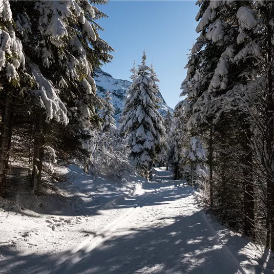 Winterwanderweg-Scheibe-Piösmes-Runde