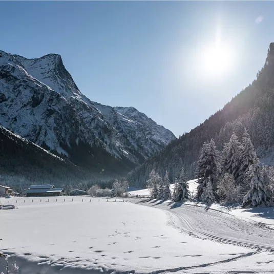 Winterwanderweg-Scheibe-Piösmes-Runde