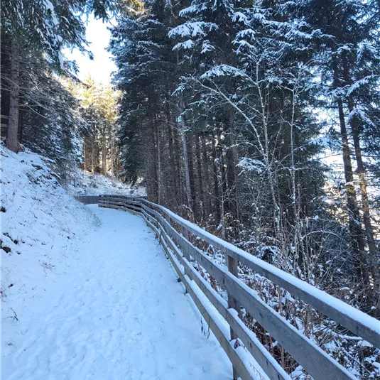 Winterwanderweg zum Tiroler Steinbockzentrum