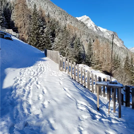 Winterwanderweg zum Tiroler Steinbockzentrum